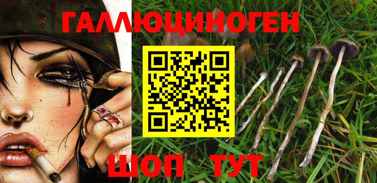 Галлюциногенные грибы GOLDEN TEACHER  Галлюциногенные грибы GOLDEN TEACHER  Вход с VPN  Новочебоксарск 